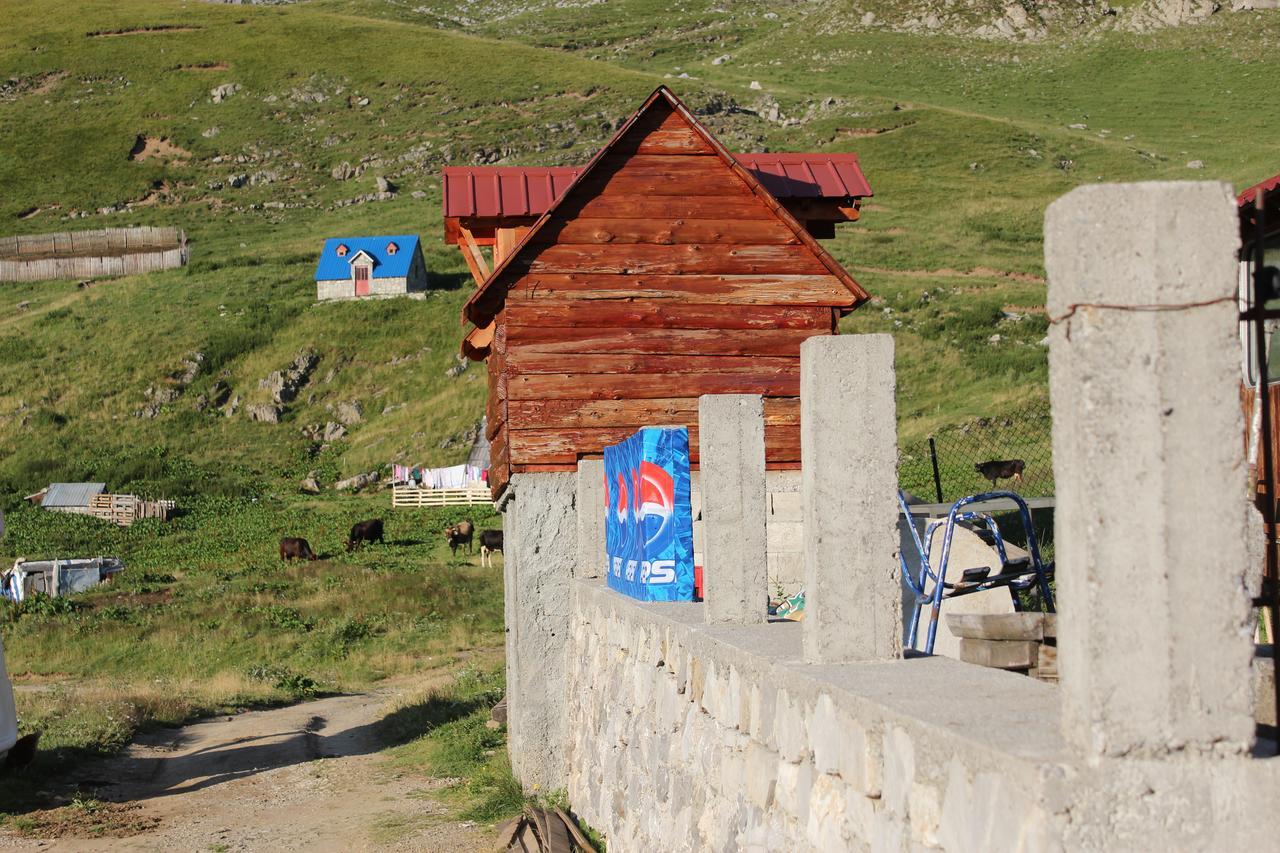 Hostel Rural Household Minic - Kapetanovo Jezero Kolašin Zewnętrze zdjęcie